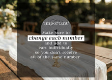 Classic Elegant Simple Wedding Table Numbers (Arch)