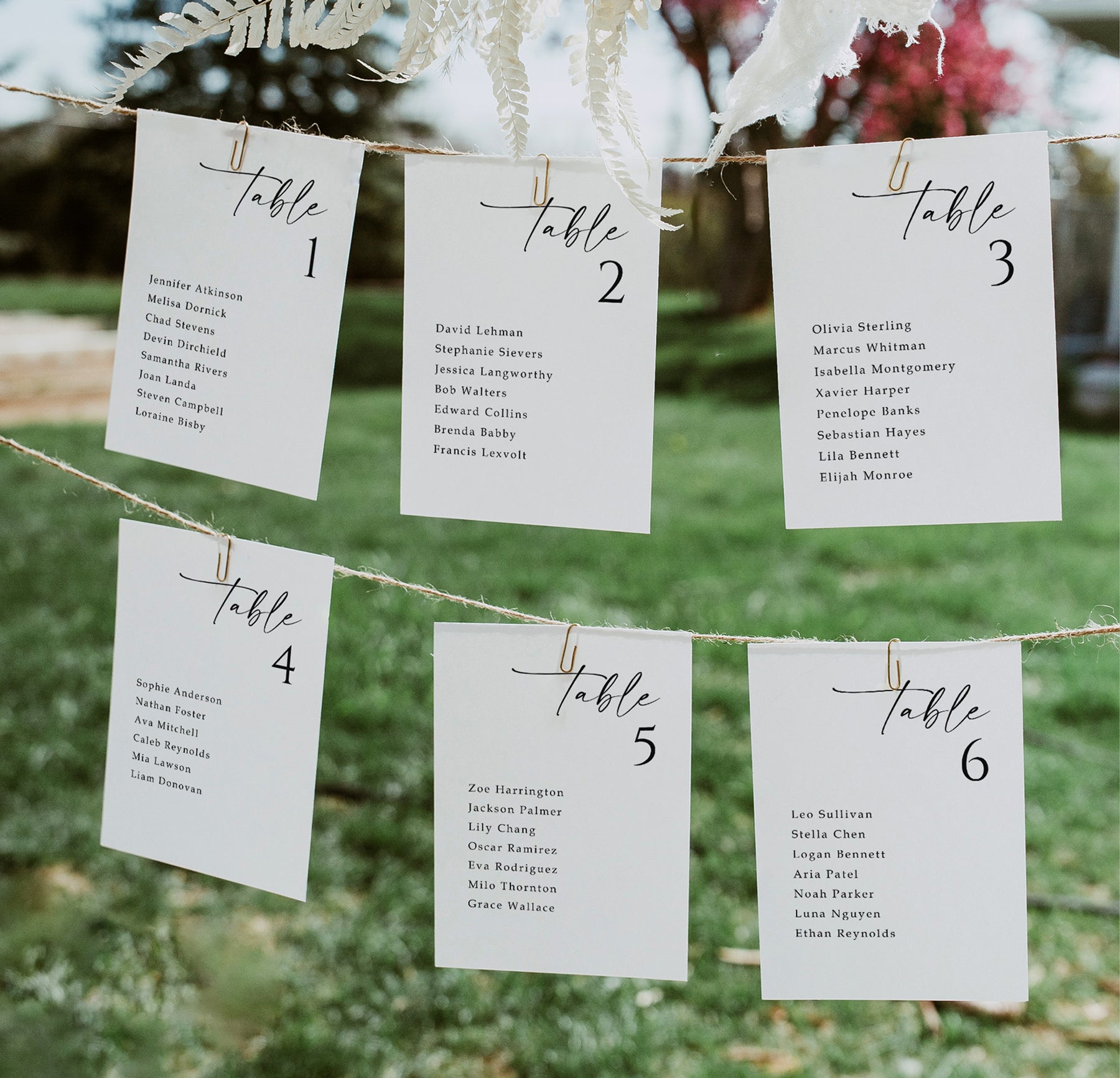 Set of minimalist seating chart cards clipped to string outdoors, printed by table in elegant script.