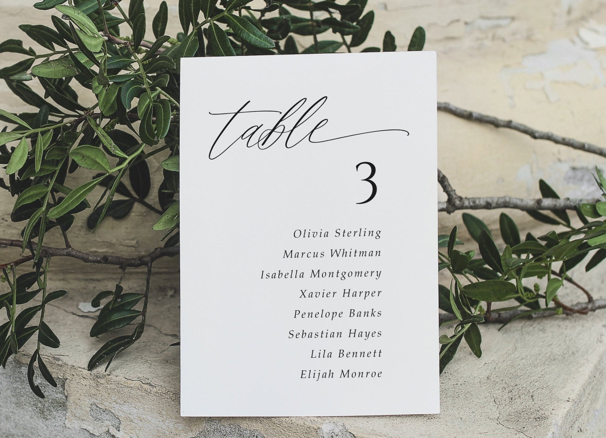 Printed seating chart card with guest names in script font, displayed outdoors with romantic styling.