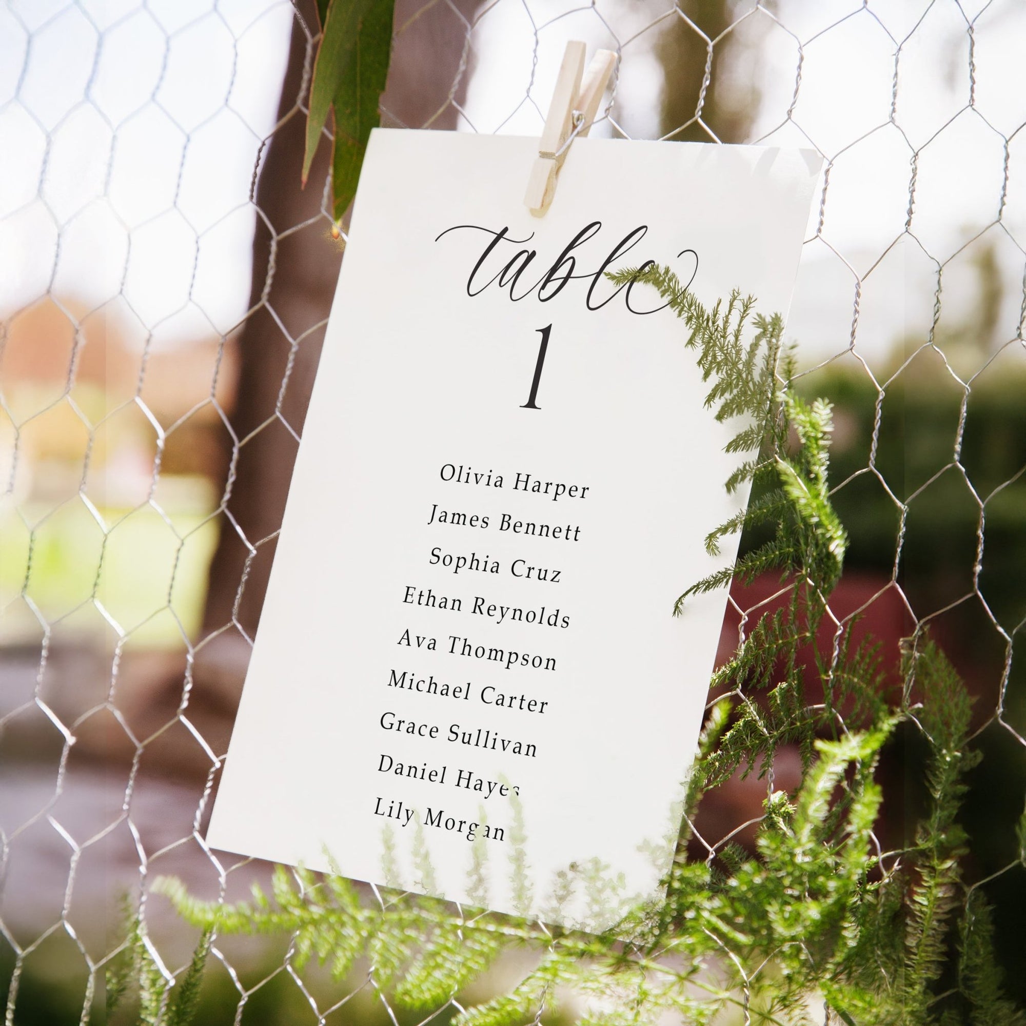Table seating arrangement card with names on a wire fence background