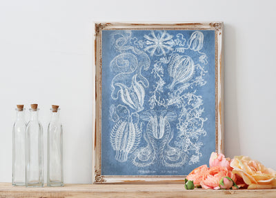 Printable Wall Art | Vintage Sea Life (Blue) | 8 x 10